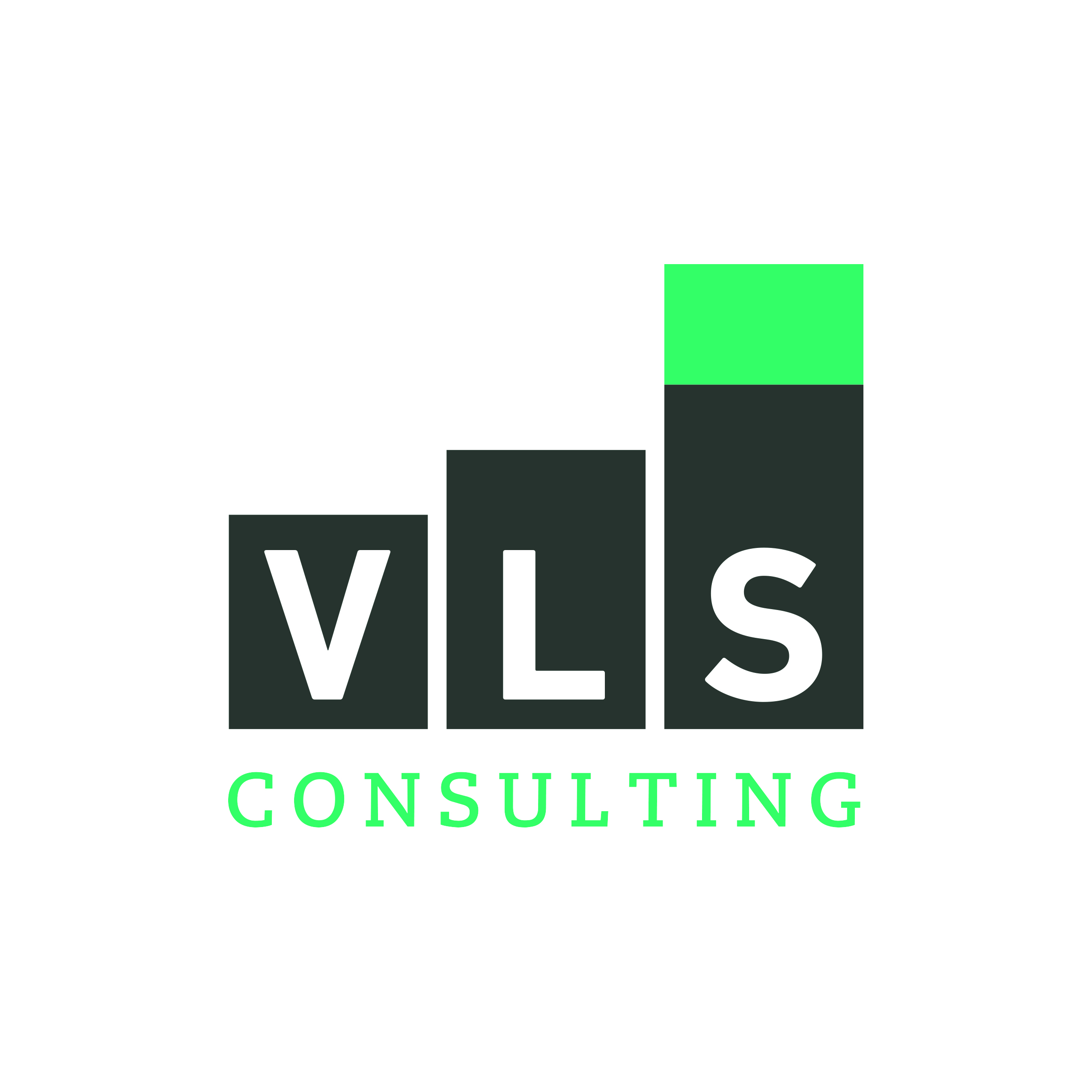 VLS Consulting